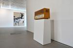 1 Michael Anthony Müller: Radiowaves