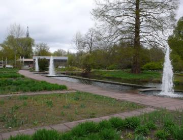 4 Blick in den Garten