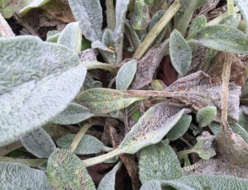 2 Herbst auf der Freundschaftsinsel