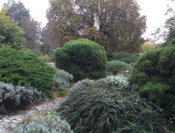 4 Herbst auf der Freundschaftsinsel