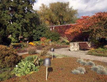 6 Herbst auf der Freundschaftsinsel