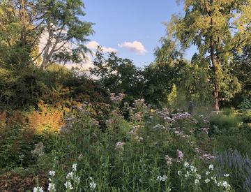 1 Die Freundschaftsinsel im August