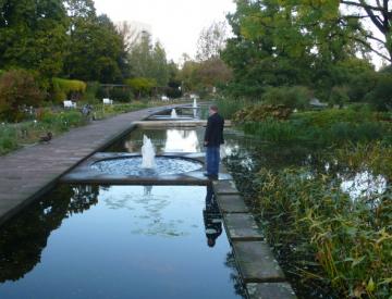 4 Die Freundschaftsinsel im Herbst