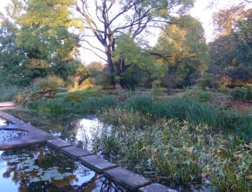 6 Die Freundschaftsinsel im Herbst