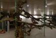 23 Ausstellungsaufbau "Tepidarium" (Jochen Dehn)