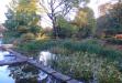 6 Die Freundschaftsinsel im Herbst